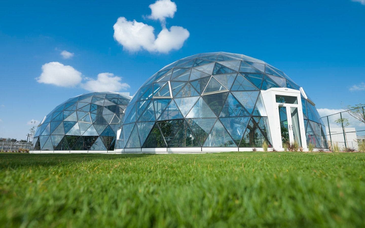 The Arbor School